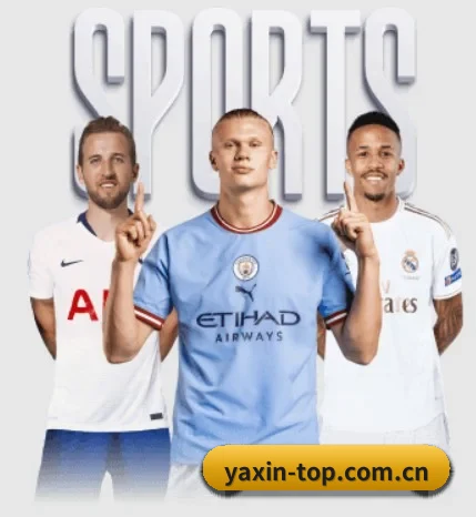亚新体育：连接你我，点亮智慧生活 - 体育资讯内容服务 - yaxin